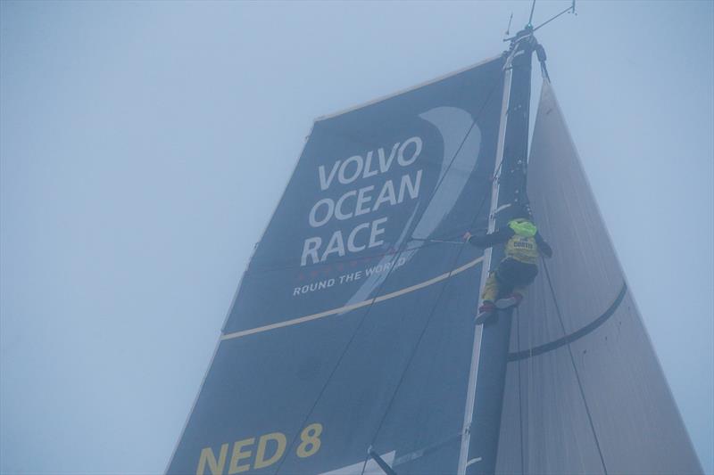 Team Brunel - Leg 8 from Itajai to Newport. Arrivals. 08 May, 2018. - photo © Jesus Renedo / Volvo Ocean Race