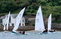 Yachting World Dayboats at the Salcombe Town Regatta 2024 © Simon Bullingham