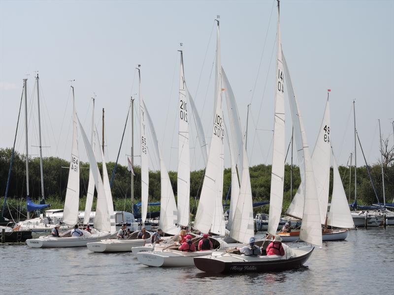 Horning Sailing Club Regatta Week 2024 - photo © Holly Hancock